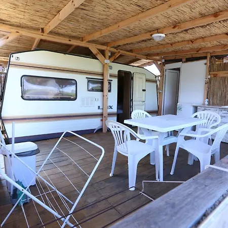 Campsite каравани на плаж златна рибка *